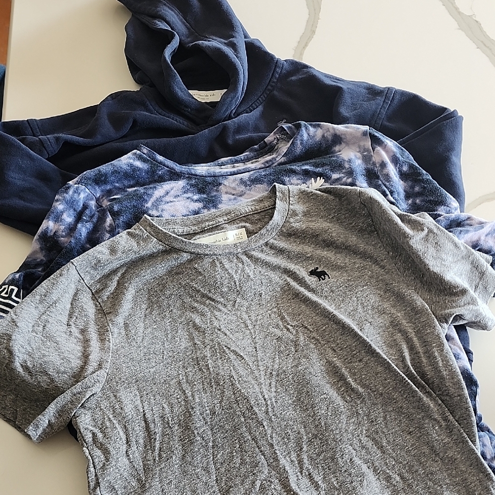 Abercrombie Kids Gray T-Shirt and Blue Hoodies Set
